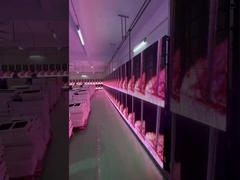 Aluguel de Tela Grade Transparente LED para Eventos, Cortina de Vidro, Exibição em Janela P3.91 a P7.82