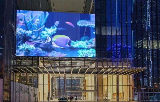 ISO14001 Interativo Criativo Transparente Led Window Display ODM Para Shopping Centers