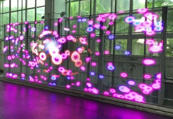 A tela video transparente RGB da parede do diodo emissor de luz de AC85V conduziu a tela de exposição da janela